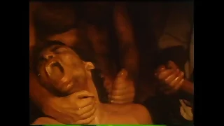 VCA Delighted - LA Device